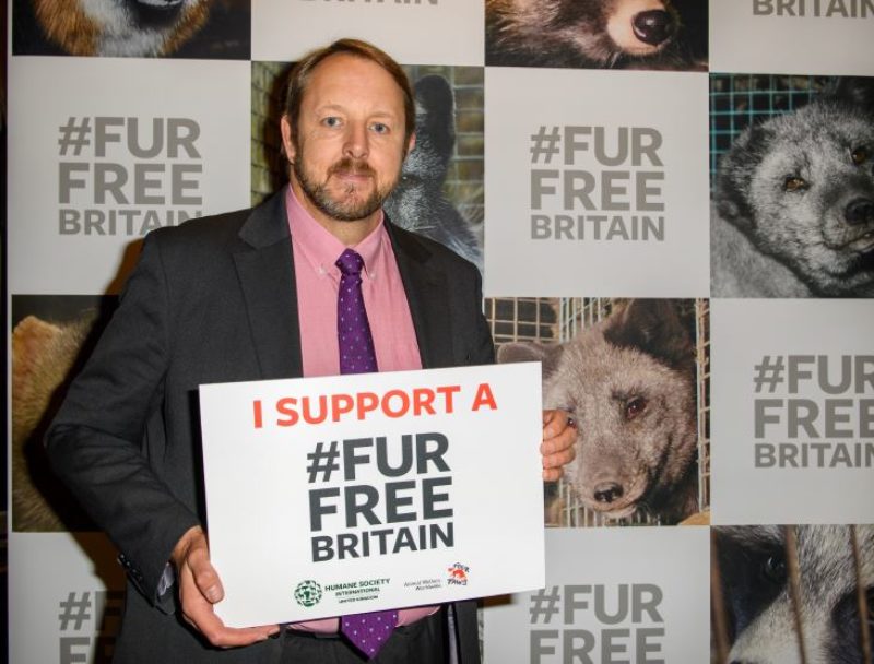 Toby at the Fur Free Britain event in Parliament